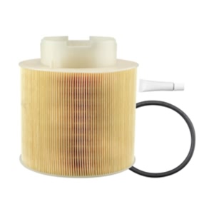 Hastings Air Filter for 2011 Audi A6 Quattro - AF1491