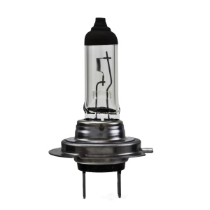 Hella H7 Standard Series Halogen Light Bulb for 1999 Cadillac Catera - H7