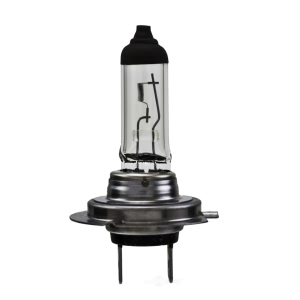 Hella H7 Standard Series Halogen Light Bulb for Mercedes-Benz CLA250 - H7