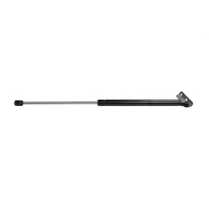 StrongArm Driver Side Liftgate Lift Support for 1996 Isuzu Oasis - 4283L