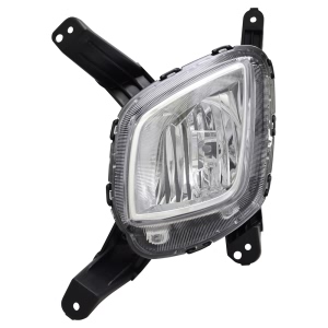 TYC TYC NSF Certified Fog Light Assembly for 2018 Kia Sorento - 19-6128-00-1