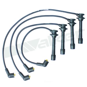 Walker Products Spark Plug Wire Set for 1995 Kia Sephia - 924-1654