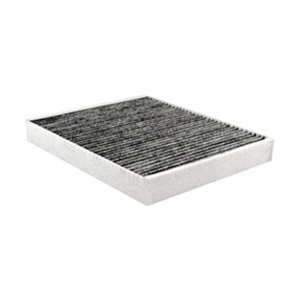 Hastings Cabin Air Filter for GMC Sierra 3500 HD - AFC1624