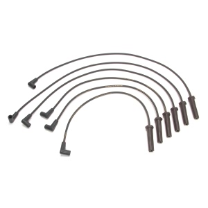 Delphi Spark Plug Wire Set for Pontiac Montana - XS10397