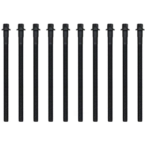 Victor Reinz Cylinder Head Bolt Set for 2005 BMW X5 - 14-32308-01