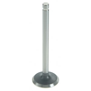 Sealed Power Engine Exhaust Valve - V-1041