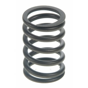 Sealed Power Engine Valve Spring for Mercury - VS-1446