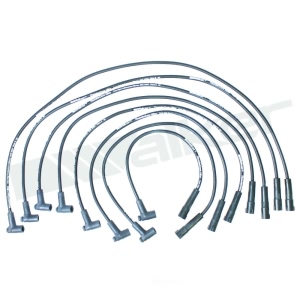 Walker Products Spark Plug Wire Set for Oldsmobile Omega - 924-1405