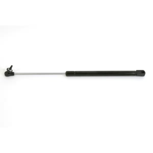 StrongArm Back Glass Lift Support for Jeep - 4528