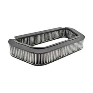 Hastings Oblong Air Filter for 2008 Audi S8 - AFC1616