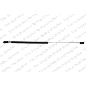 lesjofors Hood Lift Support for 2005 Volkswagen Beetle - 8095001