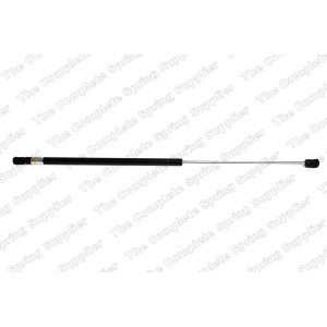 lesjofors Hood Lift Support for Volkswagen - 8095001