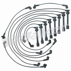 Walker Products Spark Plug Wire Set for Lexus - 924-1387