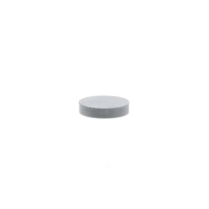 VAICO Automatic Transmission Oil Pan Magnet - V30-2338