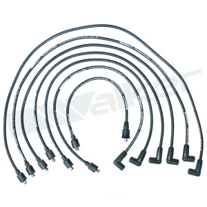 Walker Products Spark Plug Wire Set for Jaguar - 924-1859