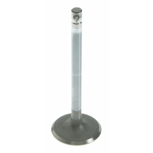 Sealed Power Engine Intake Valve for Buick Skylark - V-3916