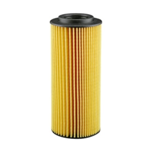 Hastings Engine Oil Filter Element for Porsche Cayenne - LF629