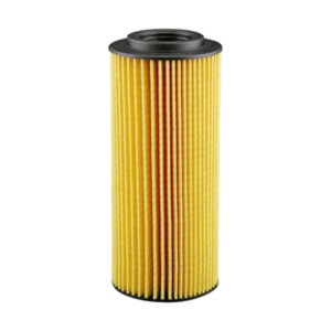 Hastings Engine Oil Filter Element for Porsche - LF629