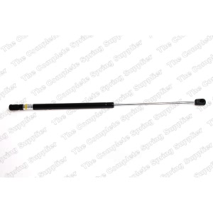 lesjofors Liftgate Lift Support for BMW 325xi - 8108428