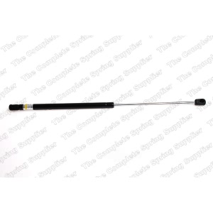 lesjofors Liftgate Lift Support for 2010 BMW 328i xDrive - 8108428