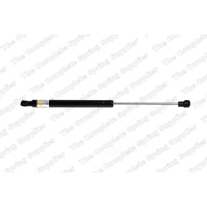lesjofors Hood Lift Support for BMW 135is - 8008412