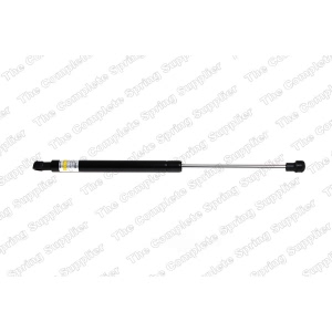 lesjofors Hood Lift Support for BMW 1 Series M - 8008412
