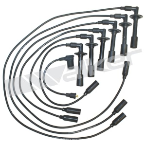 Walker Products Spark Plug Wire Set - 924-1263