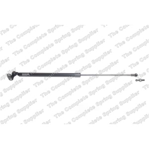 lesjofors Passenger Side Liftgate Lift Support for 2004 Lexus LX470 - 8192580
