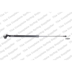 lesjofors Passenger Side Liftgate Lift Support for 2007 Lexus LX470 - 8192580