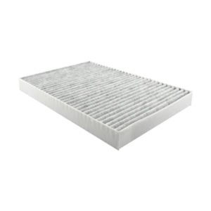 Hastings Cabin Air Filter for 2008 Dodge Magnum - AFC1289