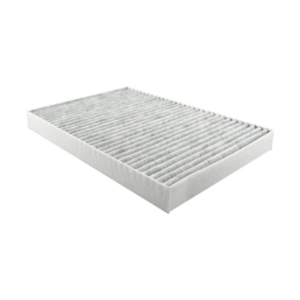 Hastings Cabin Air Filter for 2010 Dodge Charger - AFC1289