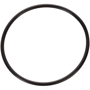 Spectra Premium Fuel Tank Lock Ring for Ford Police Interceptor Sedan - LO186