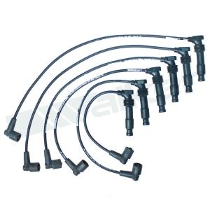 Walker Products Spark Plug Wire Set - 924-1496