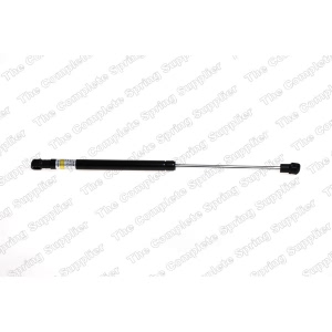 lesjofors Driver Side Back Glass Lift Support for 2006 Kia Sorento - 8144217