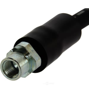 Centric Front Brake Hose for BMW X5 - 150.34031