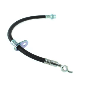 Centric Brake Hose for 2000 Toyota MR2 Spyder - 150.44392