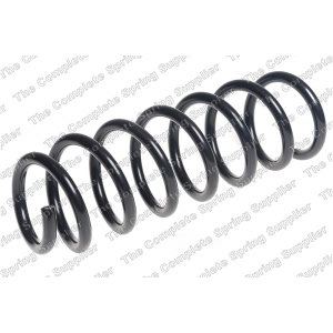 lesjofors Rear Coil Springs for 2011 BMW X3 - 4208490