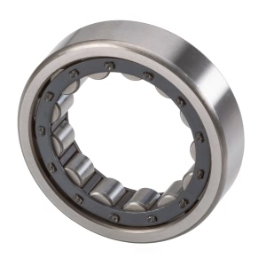National Transmission Cylindrical Bearing Outer Race for 1993 Suzuki Sidekick - M-1205-EL