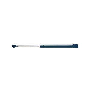 StrongArm Hood Lift Support for 1989 Pontiac Grand Prix - 4463