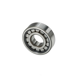National Rear Differential Pinion Bearing for GMC - MU-1305-TDM