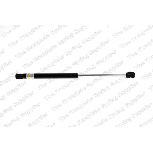 lesjofors Hood Lift Support for 2008 BMW X5 - 8008418