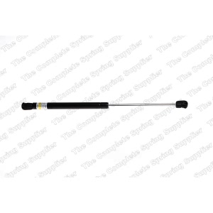 lesjofors Hood Lift Support for BMW X6 - 8008418