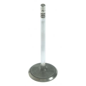 Sealed Power Engine Intake Valve for 2002 Ford F-250 Super Duty - V-4602