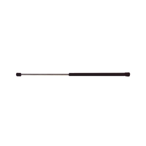StrongArm Hood Lift Support for 2002 Buick Park Avenue - 4344