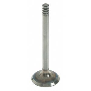 Sealed Power Engine Intake Valve for 1987 Volkswagen Jetta - V-4616