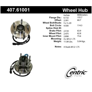 Centric Premium™ Wheel Bearing And Hub Assembly for 2004 Ford Freestar - 407.61001