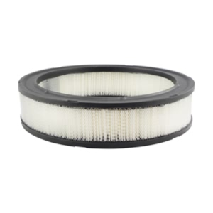 Hastings Air Filter for Oldsmobile 98 - AF149