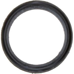 Victor Reinz Egr Valve Gasket for Ford Aerostar - 71-13809-00