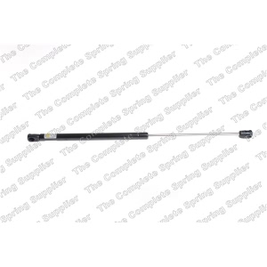 lesjofors Trunk Lid Lift Support for 2012 Volkswagen Eos - 8195062