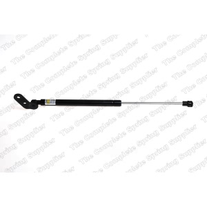 lesjofors Passenger Side Liftgate Lift Support for 1999 Kia Sportage - 8144219